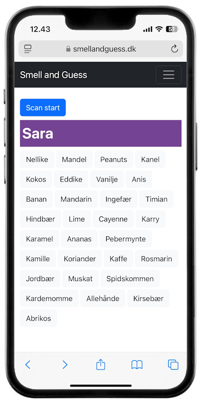 WebApp next player